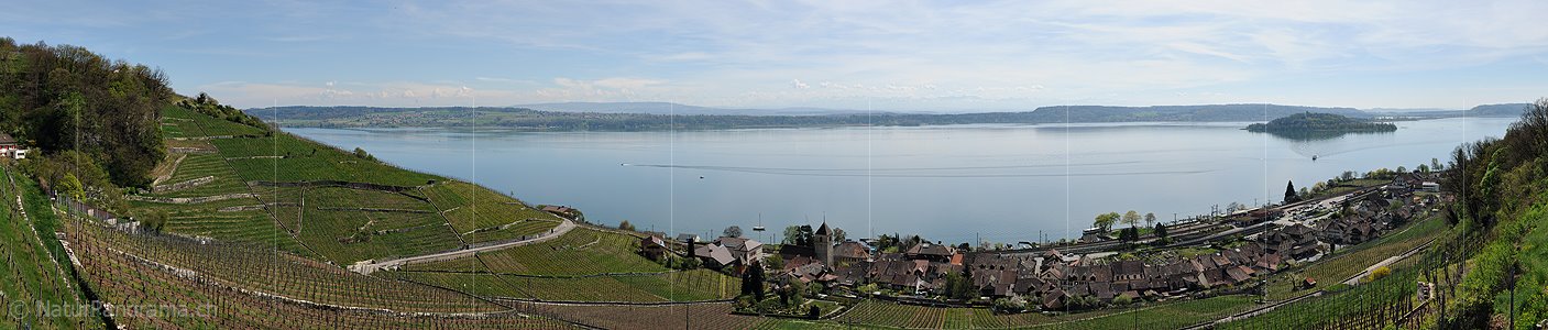 P014379: Panoramafoto Bielersee und Twann
