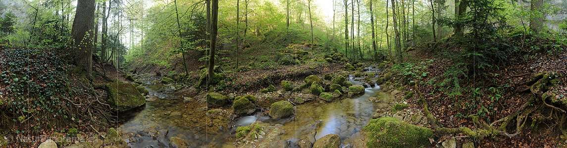 P014432: 360° Gigapixel-Panoramafoto Bach im Frühlingswald (Langzeitbelichtung)