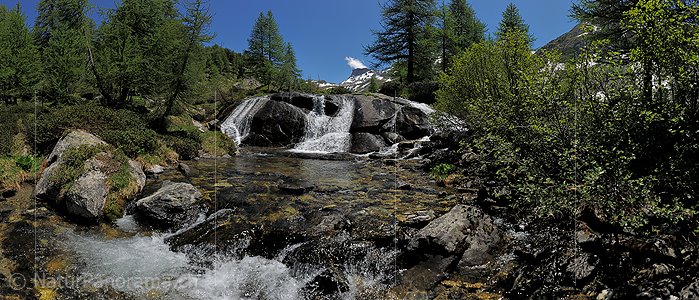 P014717: Panoramafoto Wasserfall in grüner Berglandschaft