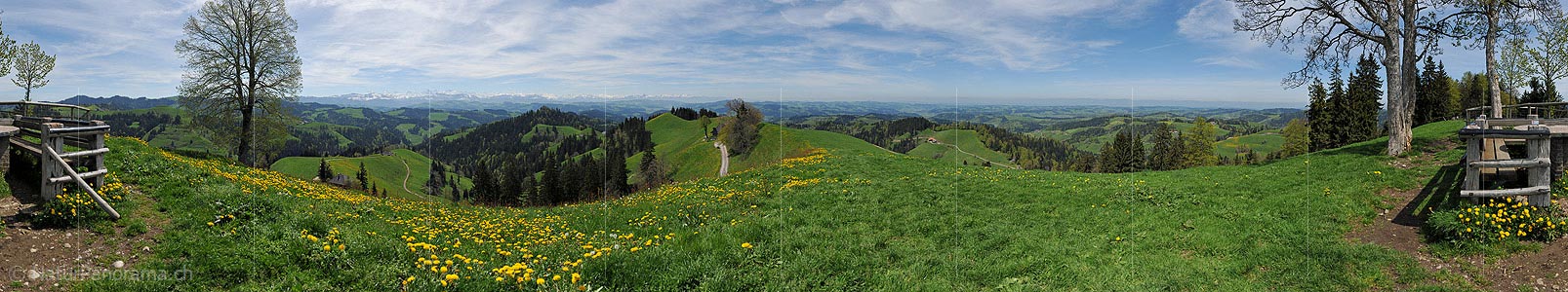 P015433a: 360° Panoramic image Spring in the hills
