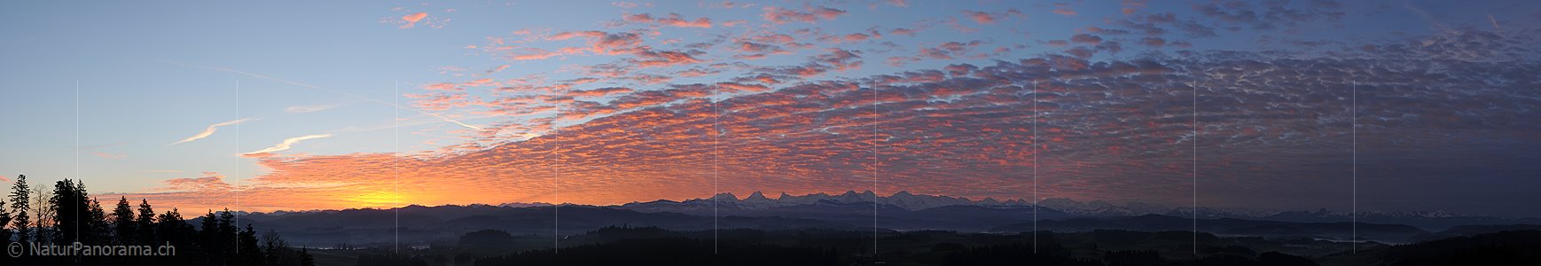 P015446: Panoramafoto Morgenstimmung mit glühenden Wolken über den Berner Alpen