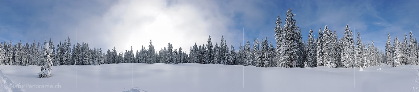 P015661: 360° Panoramabild Lichtung im frisch verschneiten Bergwald (Entwurf)