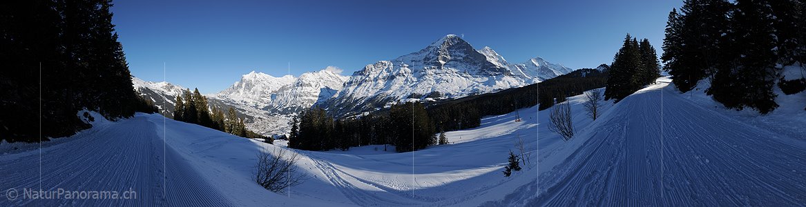P015761: Panoramafoto Winterliche Eigernordwand im Abendlicht