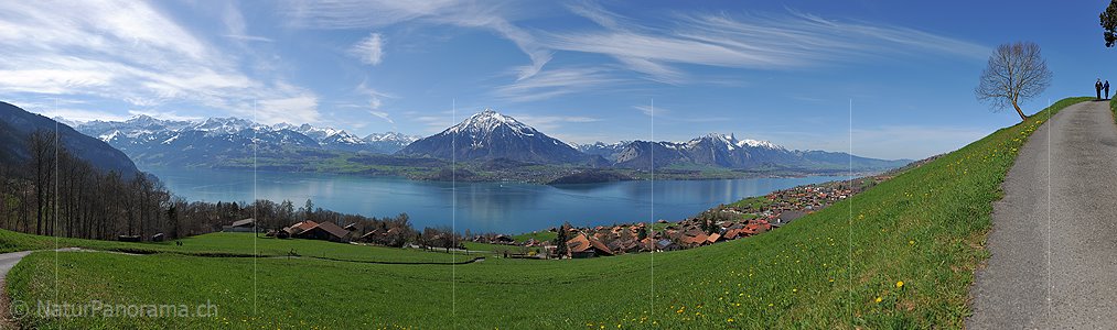 P015887: Panoramafoto Niesen und Thunersee