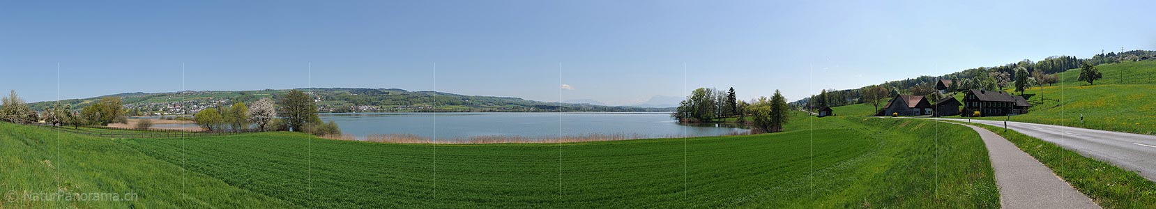 P016043: Panorama Lake Baldegg