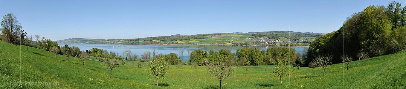 P016051a: Panorama photo Lake Hallwil near Beinwil am See