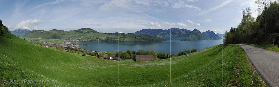 P016073: Panoramic photo Buochs and Vierwaldstättersee
