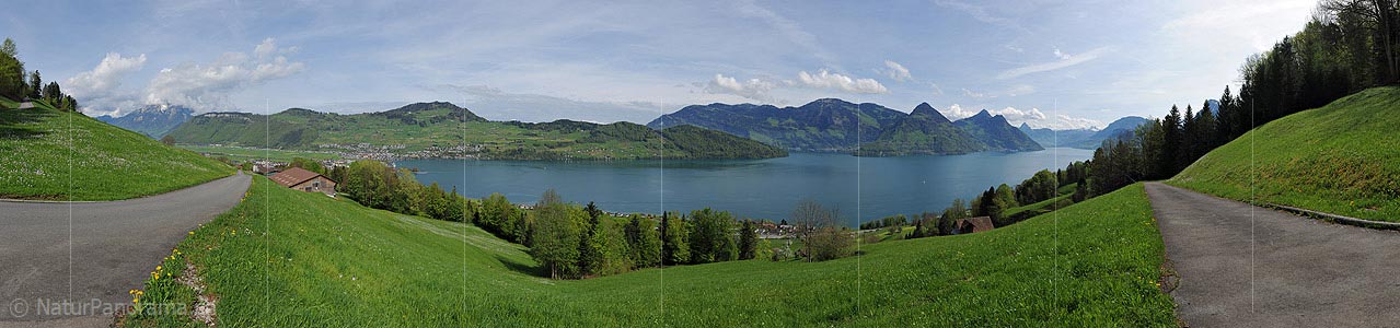 P016074: Panorama photo Central Switzerland at Buochs