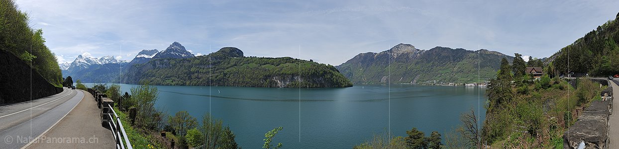 P016088: Panoramafoto Urnersee bei Morschach