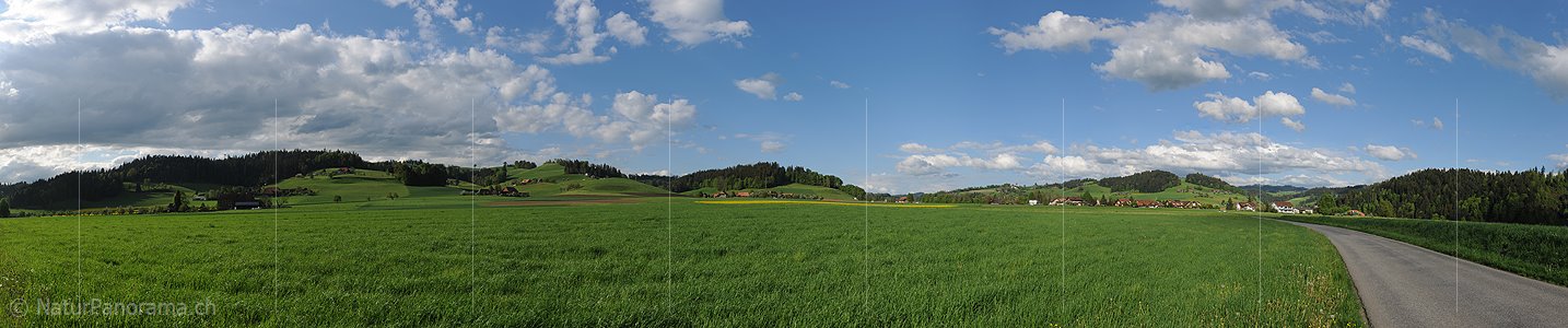 P016104: Panoramafoto Grüne Ebene in Hügellandschaft