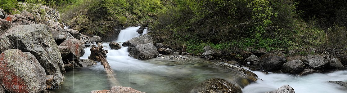 P016212: Panoramafoto Wasserfall in ursprünglichem Bergbach