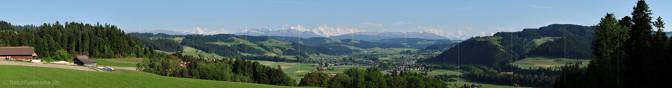 P016255a: Panoramabild Grüne Hügellandschaft vor Alpenpanorama