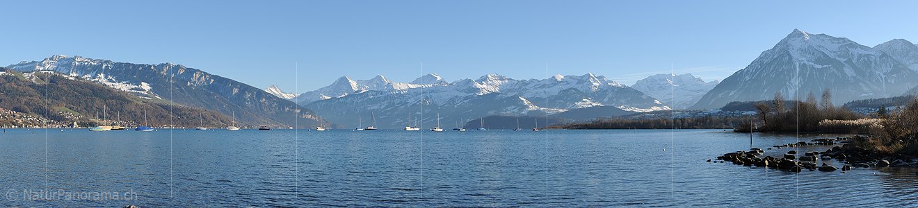 P016332a: Panorama Thunersee, Berner Alpen und Niesen