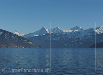 P016333c: Grossfoto Thunersee vor Eiger, Mönch und Jungfrau