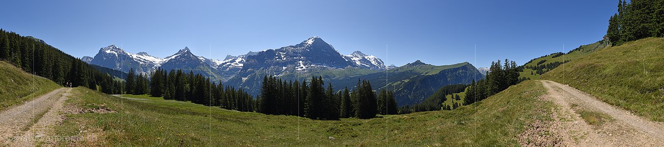 P016476: Panoramafoto Blick von oberhalb Grindelwald zu Eiger und Co.