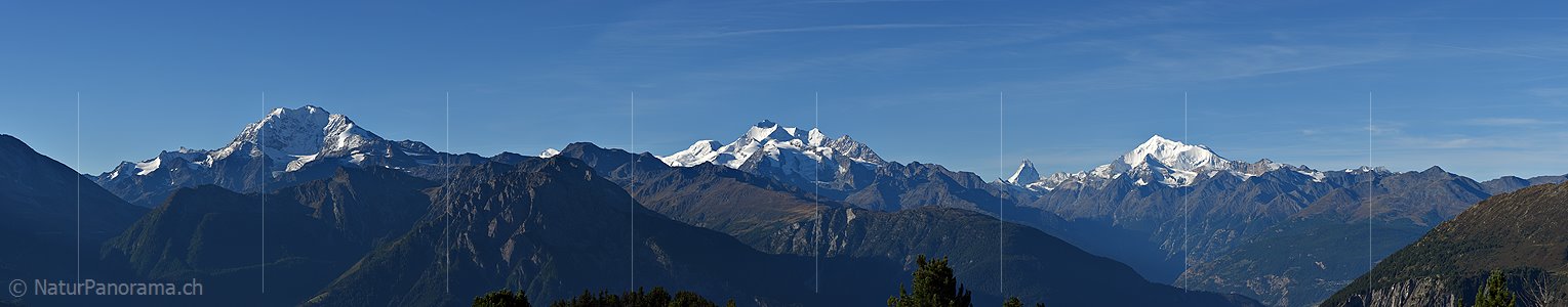 P016870: Panorama der Walliser Alpen vom Riederhorn