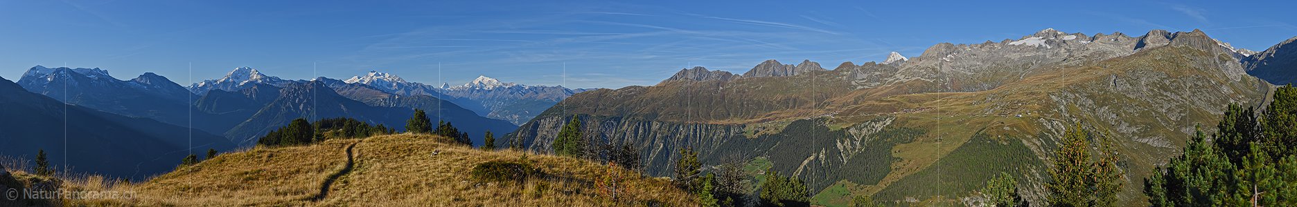 P016875: Panoramafoto Walliser Alpen vom Riederhorn