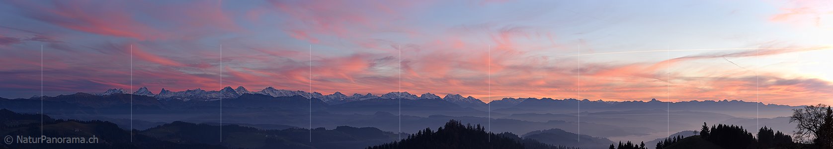 P016938: Panoramafoto Abendrot über den Berner Alpen
