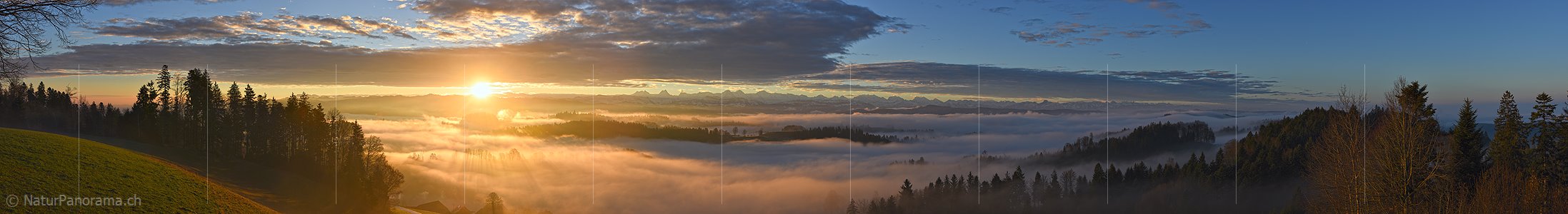P017144: Panoramafoto Morgenstimmung mit Nebelmeer vor Berner Alpen
