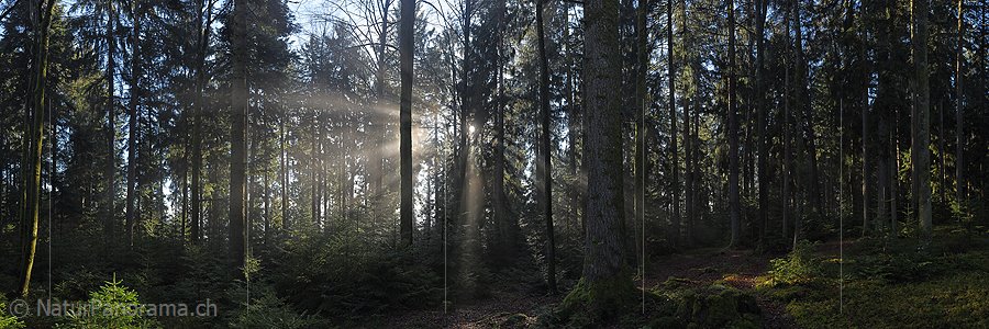 P017355: Panoramafoto Lichtstrahlen