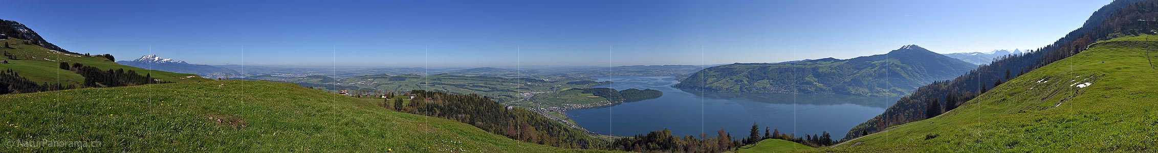 P017627: Panoramic photo Lake Zug (Zugersee) from Seebodenalp