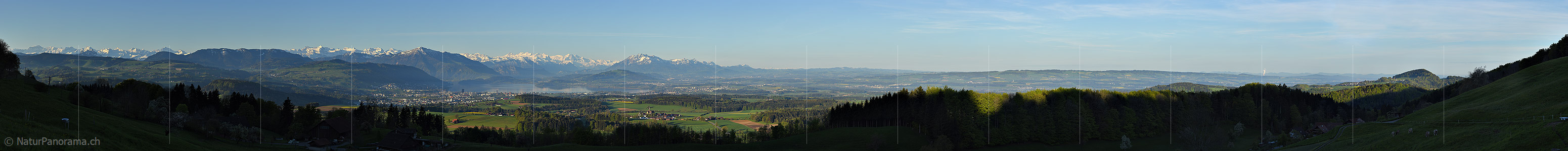 P017691: Alpenpanorama vom Albis (Zürich)