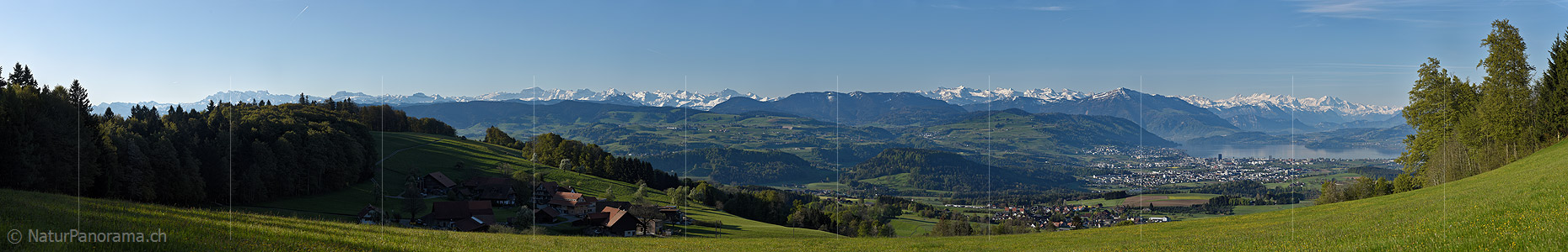 P017695: Panoramafoto Zentralalpen und Zugersee vom Albis
