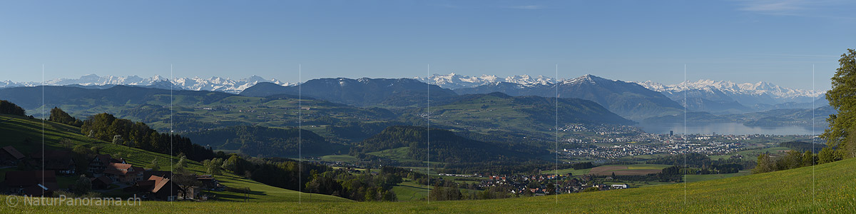 P017695a: Panoramafoto Zentralalpen und Zugersee vom Albis