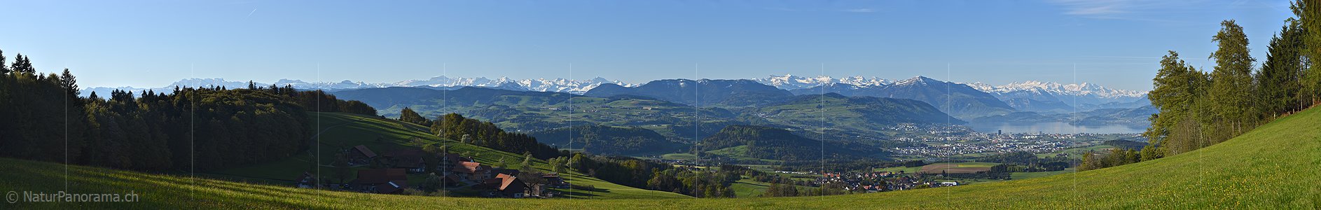 P017695e: Panoramafoto Zentralalpen und Zugersee vom Albis