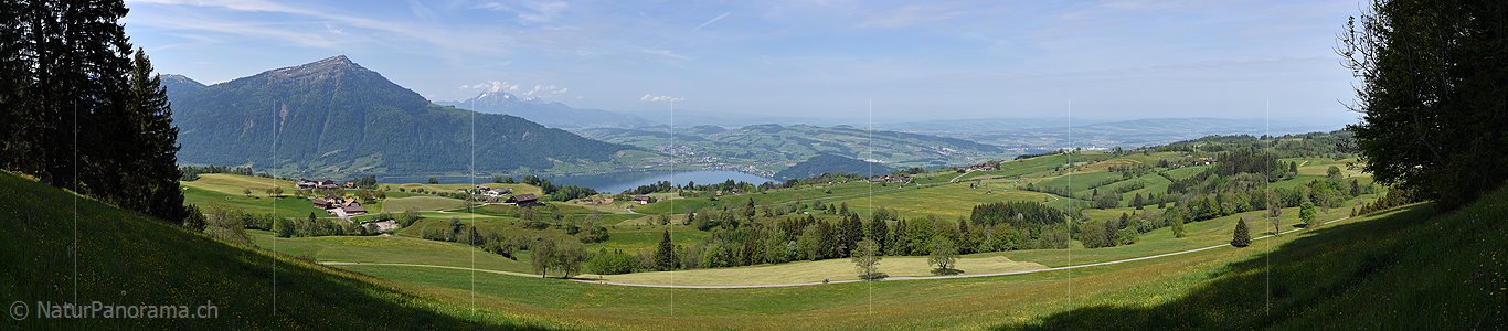 P017848: Panoramafoto Rigi, Pilatus und Zuggersee vom Walchwilerberg