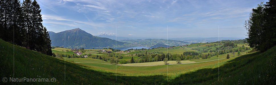P017849: Panoramafoto Walchwilerberg