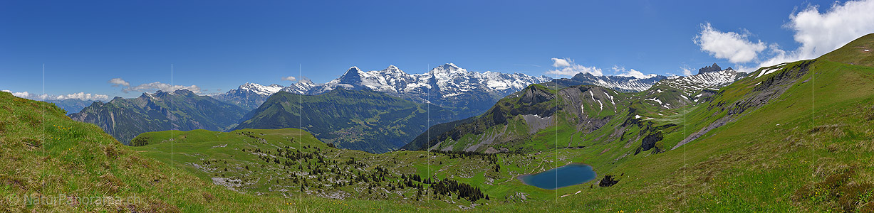 P018067: Panoramic photo Green mountain landscape with Eiger, Mönch and Jungfrau