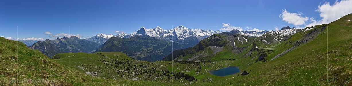 P018067d: Panoramafoto Jungfrauregion im Sommer