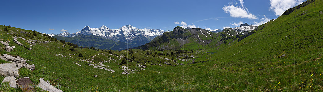 P018069: Larga panorama Green mountain landscape with Eiger, Mönch and Jungfrau