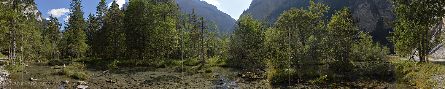 P018568a: Panorama photo Forest source in floodplain forest