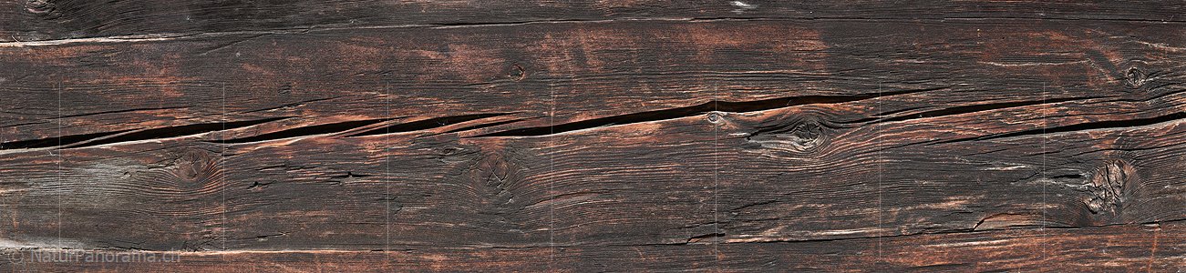 P018671: Panorama Struktur Holz antik (Lärche)