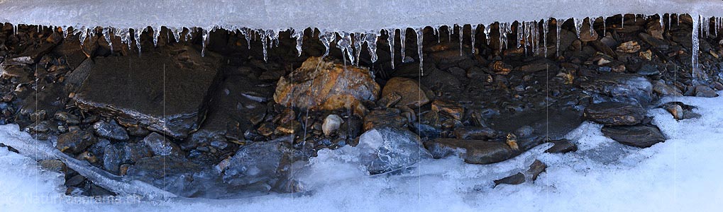 P018744: Panorama Icicle