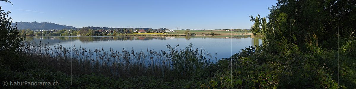 P019650: Panoramafoto Spiegelung im Moossee