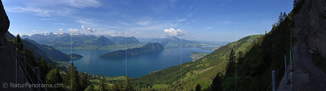 P019855: Panoramafoto Zentralschweiz und Vierwaldstättersee von Rigi Kaltbad