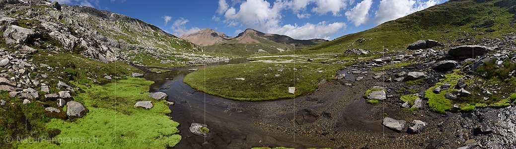 P020155: Gigapixel Bild einer Naturlandschaft