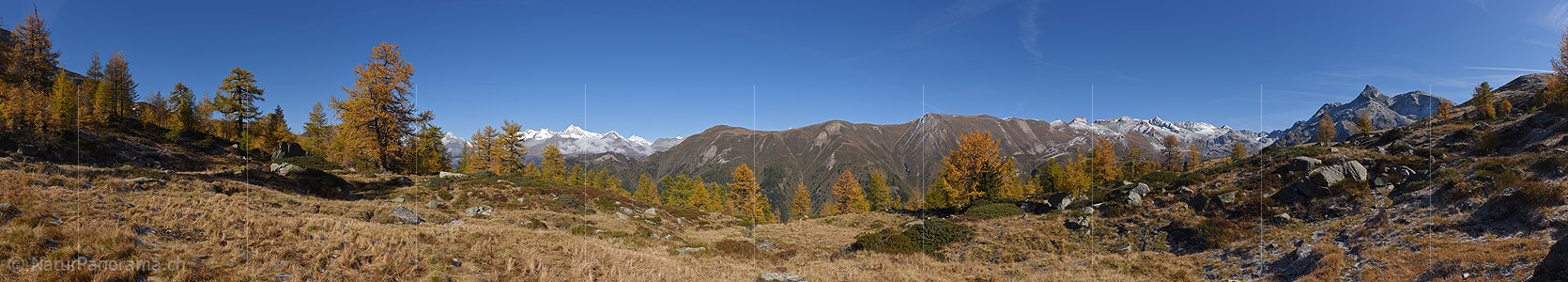 P020672: Goldgelbe Lärchen in Berglandschaft