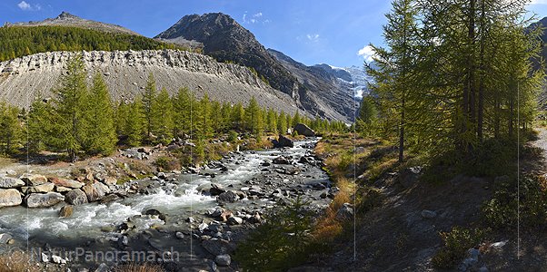 P022471: Panoramabild Grosser Bergbach in lichtem Lärchenwald