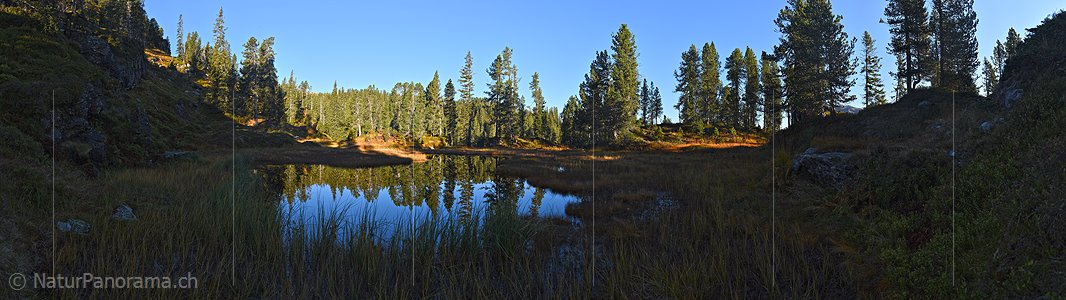 P022516: Panoramafoto Waldsee / Moorsee