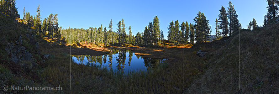 P022519: Panoramafoto Waldsee / Moorsee