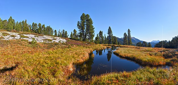 P022522: Panoramafoto Moorsee in urtümlicher Landschaft
