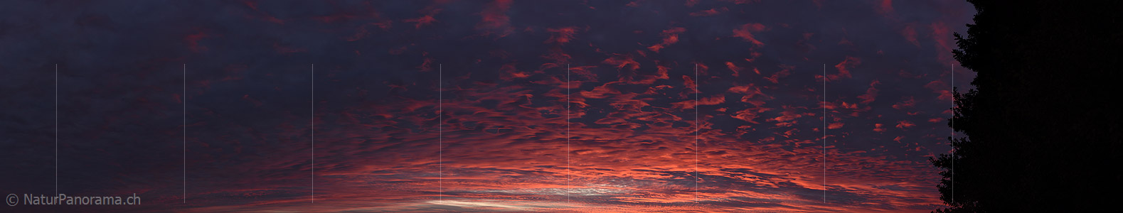 P023822: Panoramic photo evening sky with artfully formed clouds