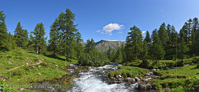 P025080: Large panorama photo Bergbach in light mountain forest