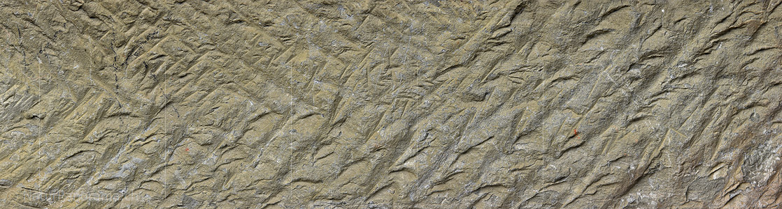 P023662: Panorama von Strukturen in Sandstein