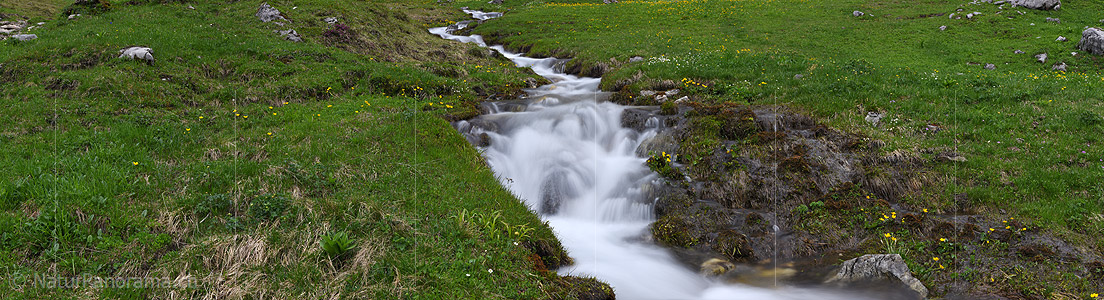 P021449: Panoramabild Bergbach auf grüner Bergwiese (Langzeitbelichtung)
