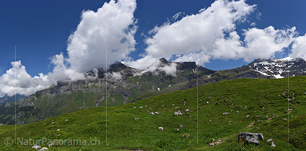 P021579: Panoramafoto Alpweide und Wolkenhimmel